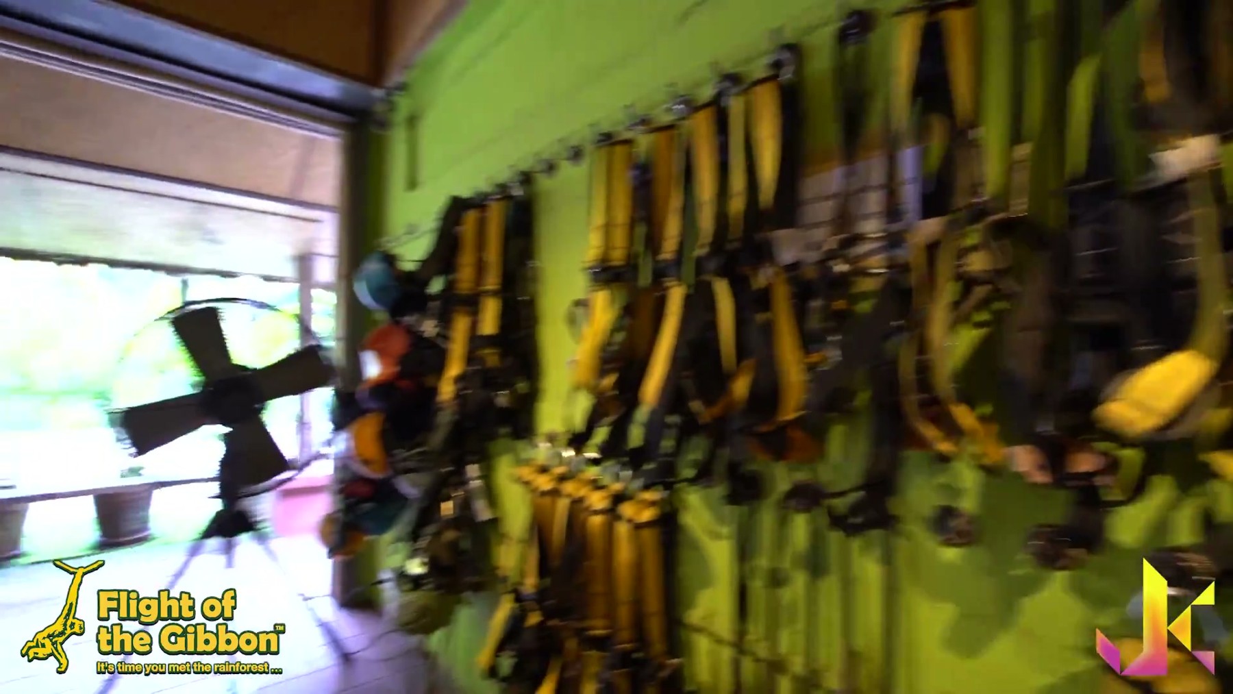 JK - Flight of the Gibbon (Chiang Mai, Thailand) 1
