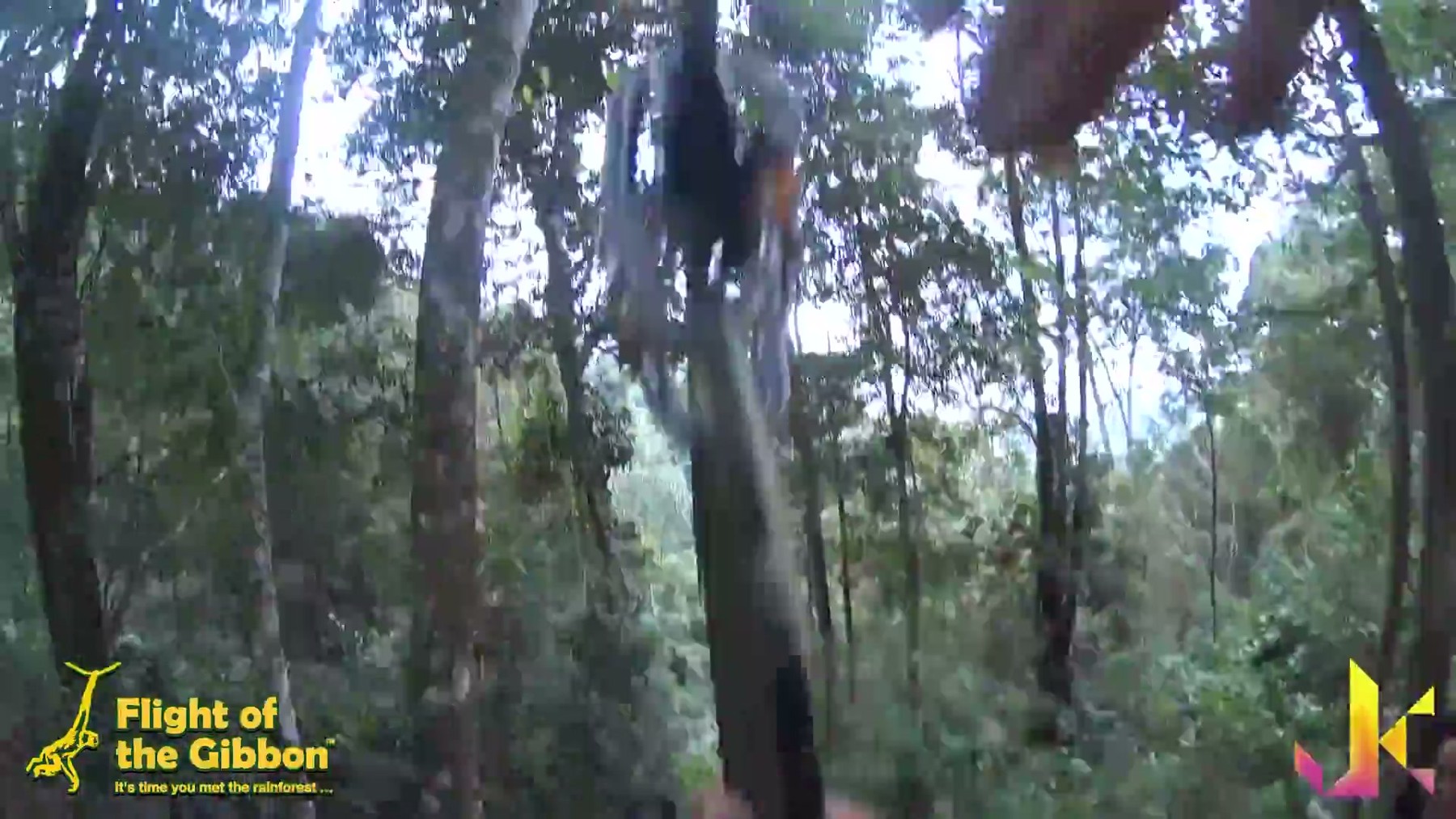 JK - Flight of the Gibbon (Chiang Mai, Thailand) 2