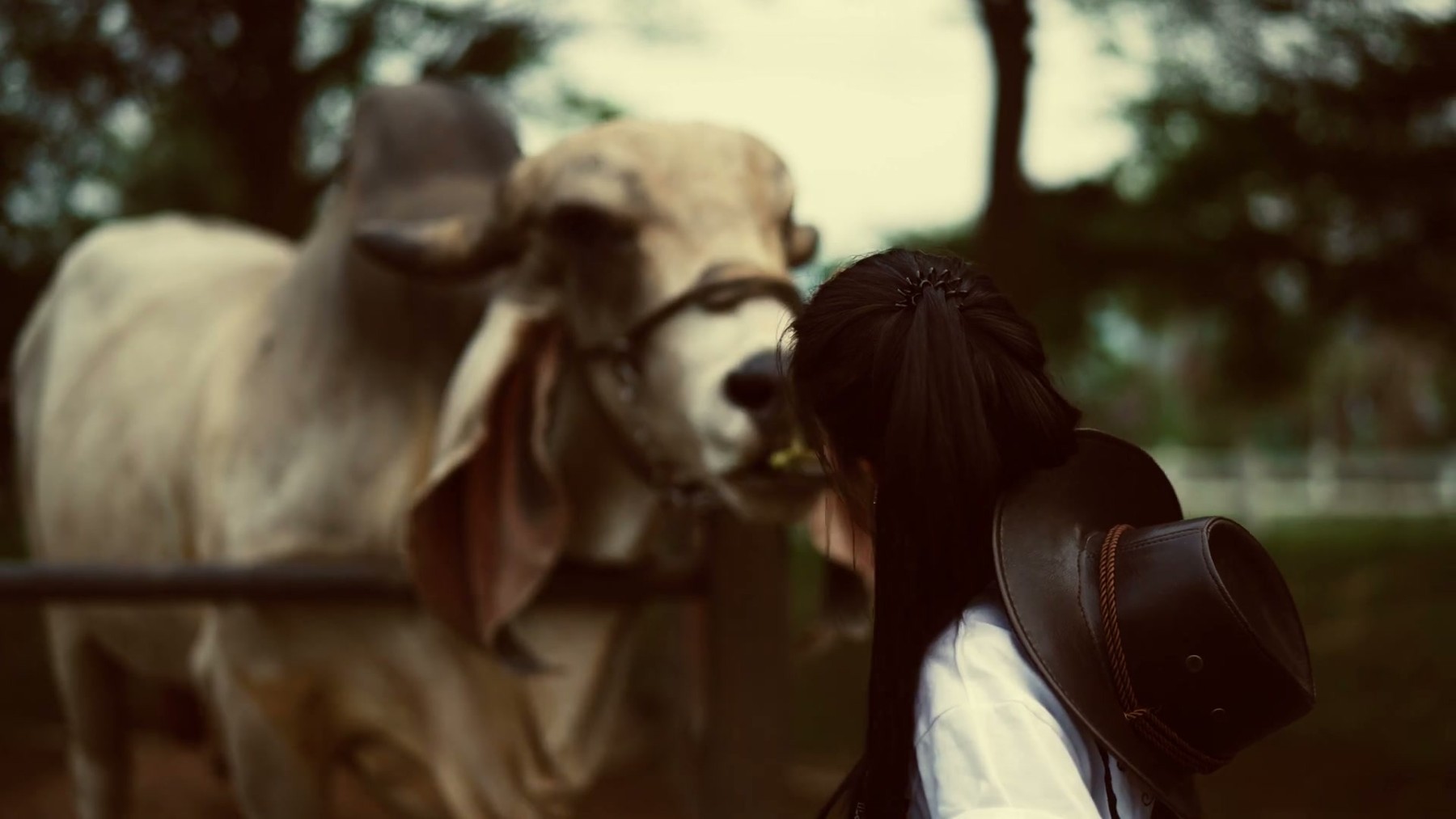 JK - COWGIRL ตะลุยเวโรน่า ปราจีนบุรี 1