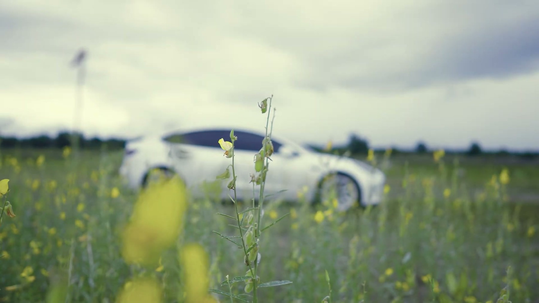 Tesla Model3 เที่ยวเขื่อนป่าสักชลสิทธิ์ 3