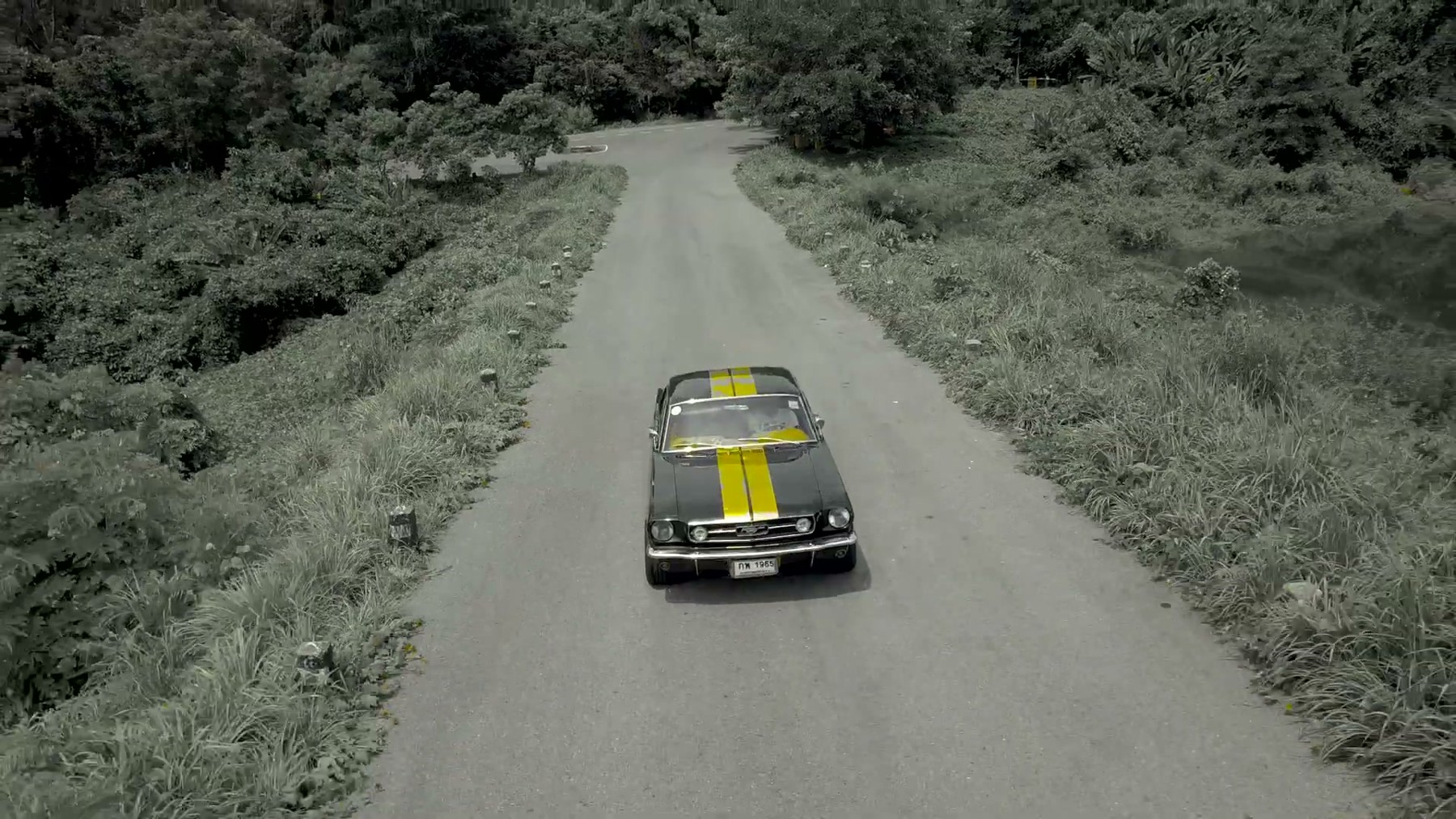 MUSTANG 1965 รถคลาสสิก 1