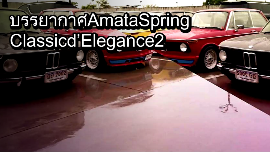 บรรยากาศ Amata Spring Classic d’Elegance 2022 10 ธันวาคม 2565 - article illustration